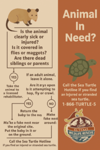 Animal Rescue Guide - San Antonio Aquarium