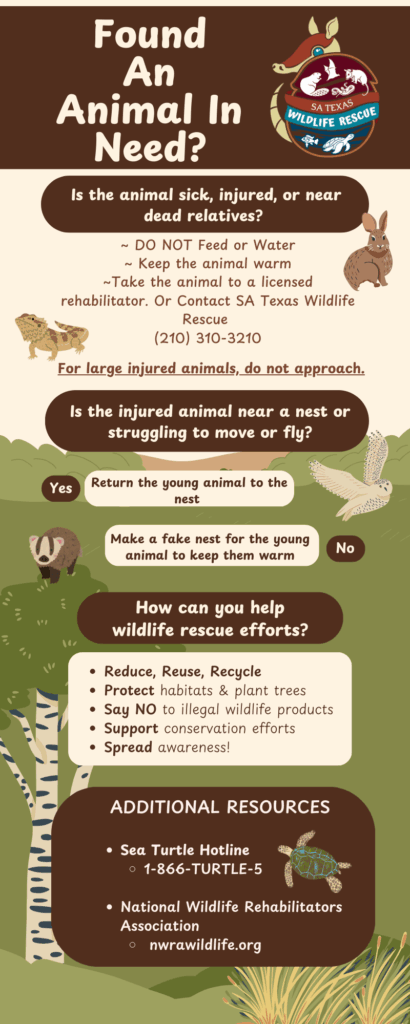 Animal Rescue Infographic for San Antonio Aquarium 