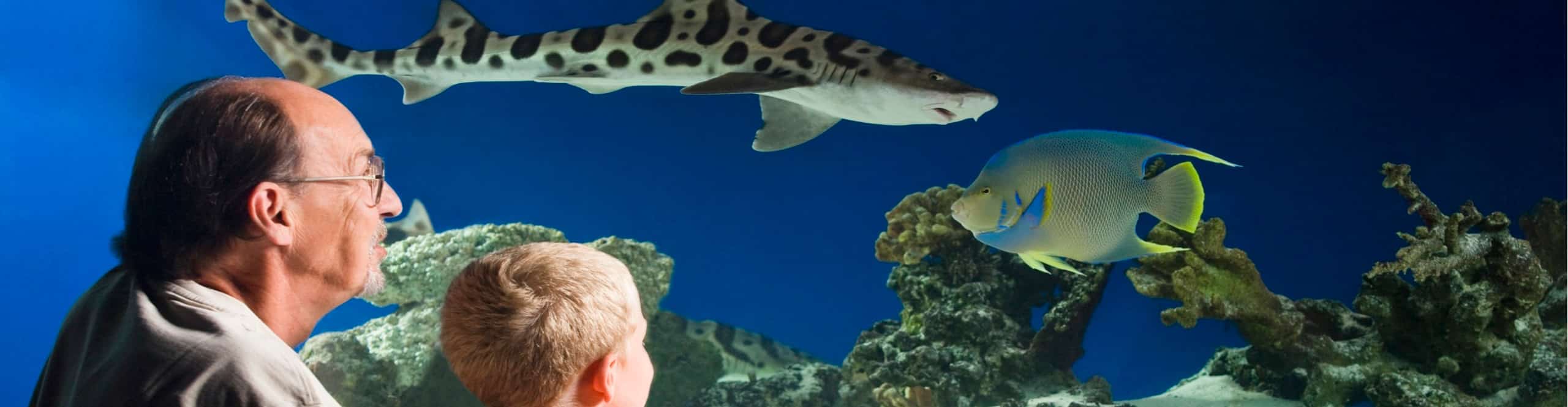 viewing_slide San Antonio Aquarium