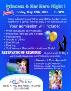 Princess & Her Hero Night Flyer