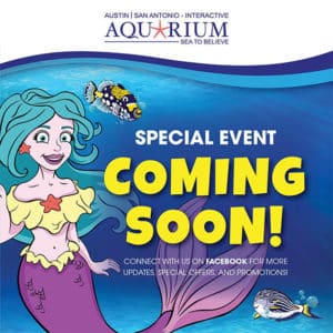 Coming Soon Event