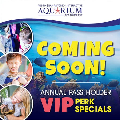 San Antonio Aquarium Current Promotions Available Online Print