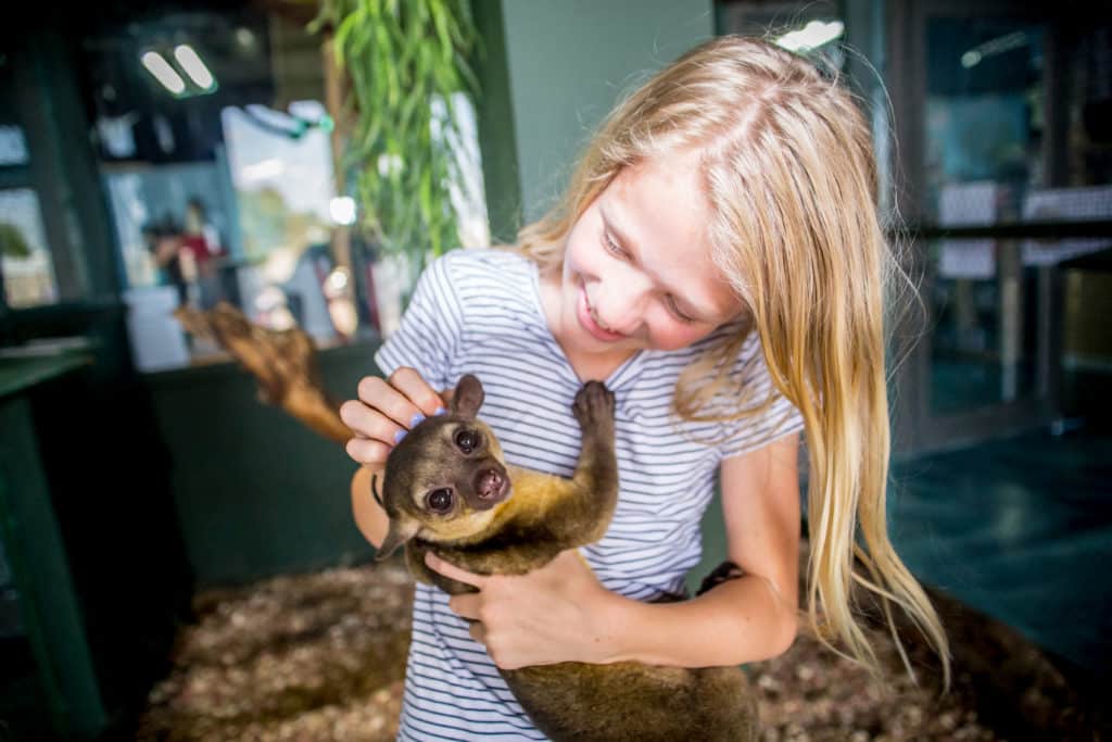 San Antonio Aquarium: Interact with Thousands of Species, Family Fun - IMG 1815 1024x683