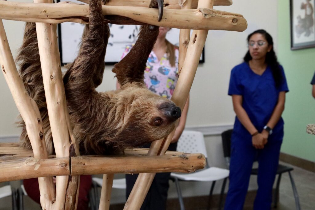 San Antonio Aquarium Interact with Thousands of Species, Family Fun