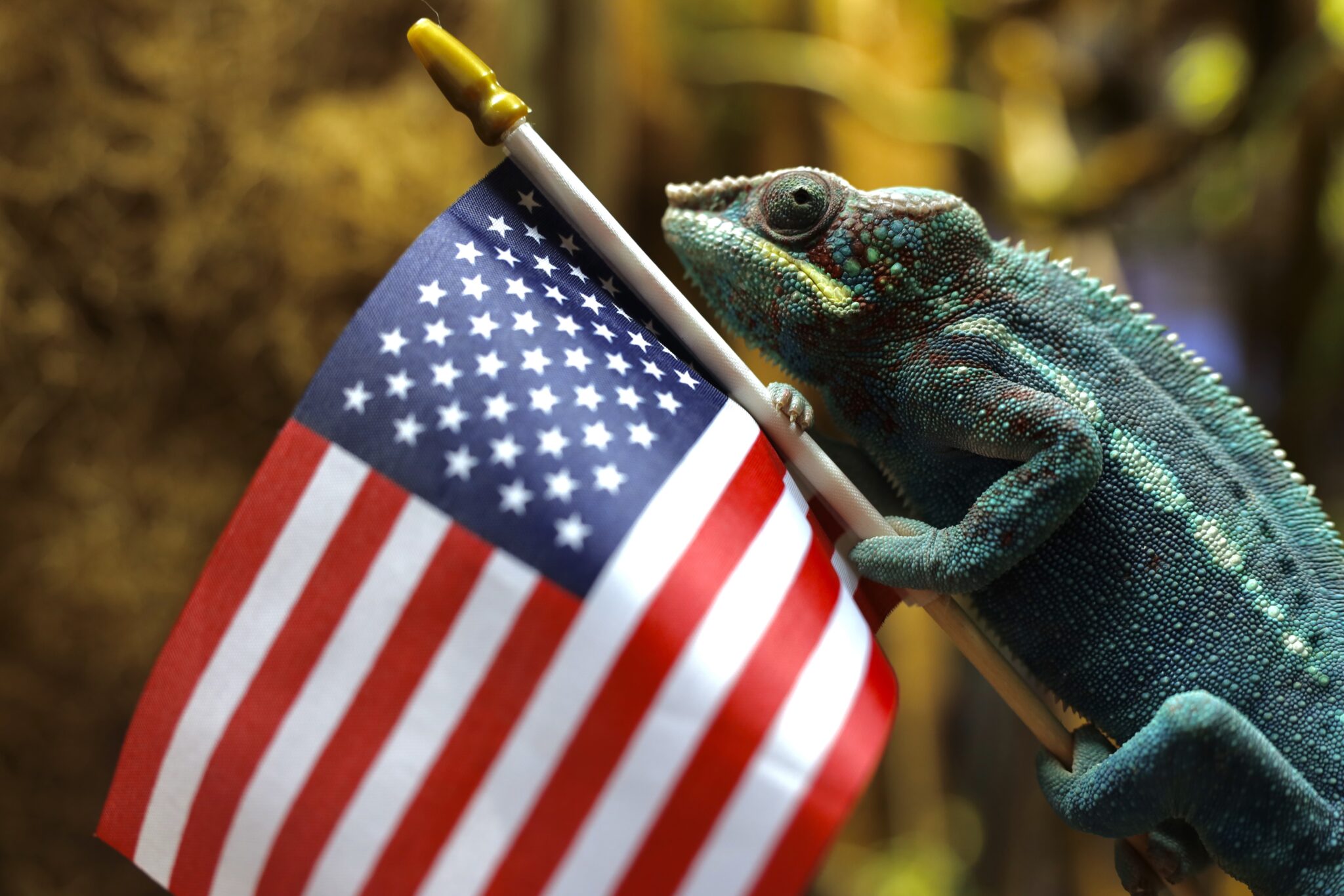 Events at the San Antonio Aquarium!