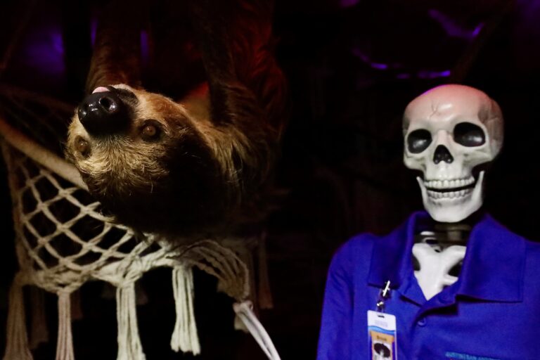 Events at the San Antonio Aquarium!