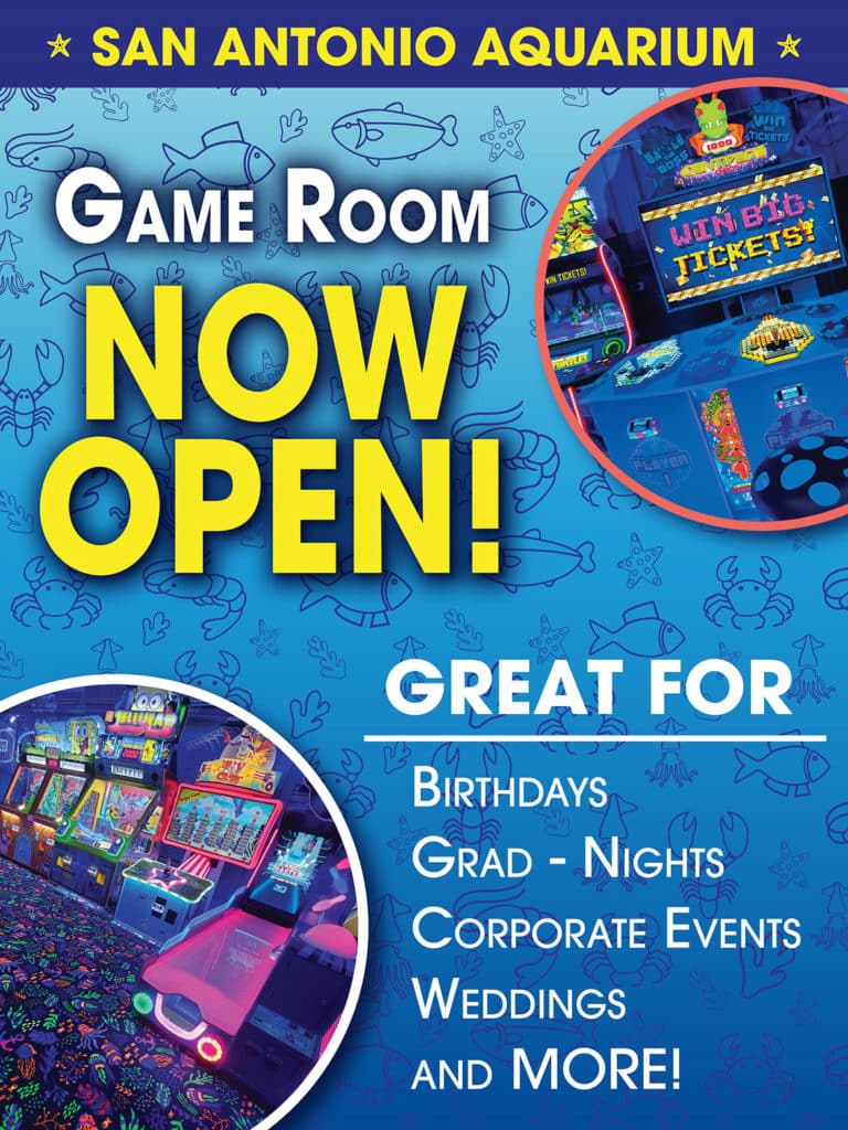 Arcade at the San Antonio Aquarium Newest and latest arcade games