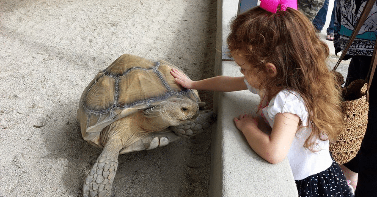 8 Fun Indoor and Outdoor Activities for Kids in San Antonio