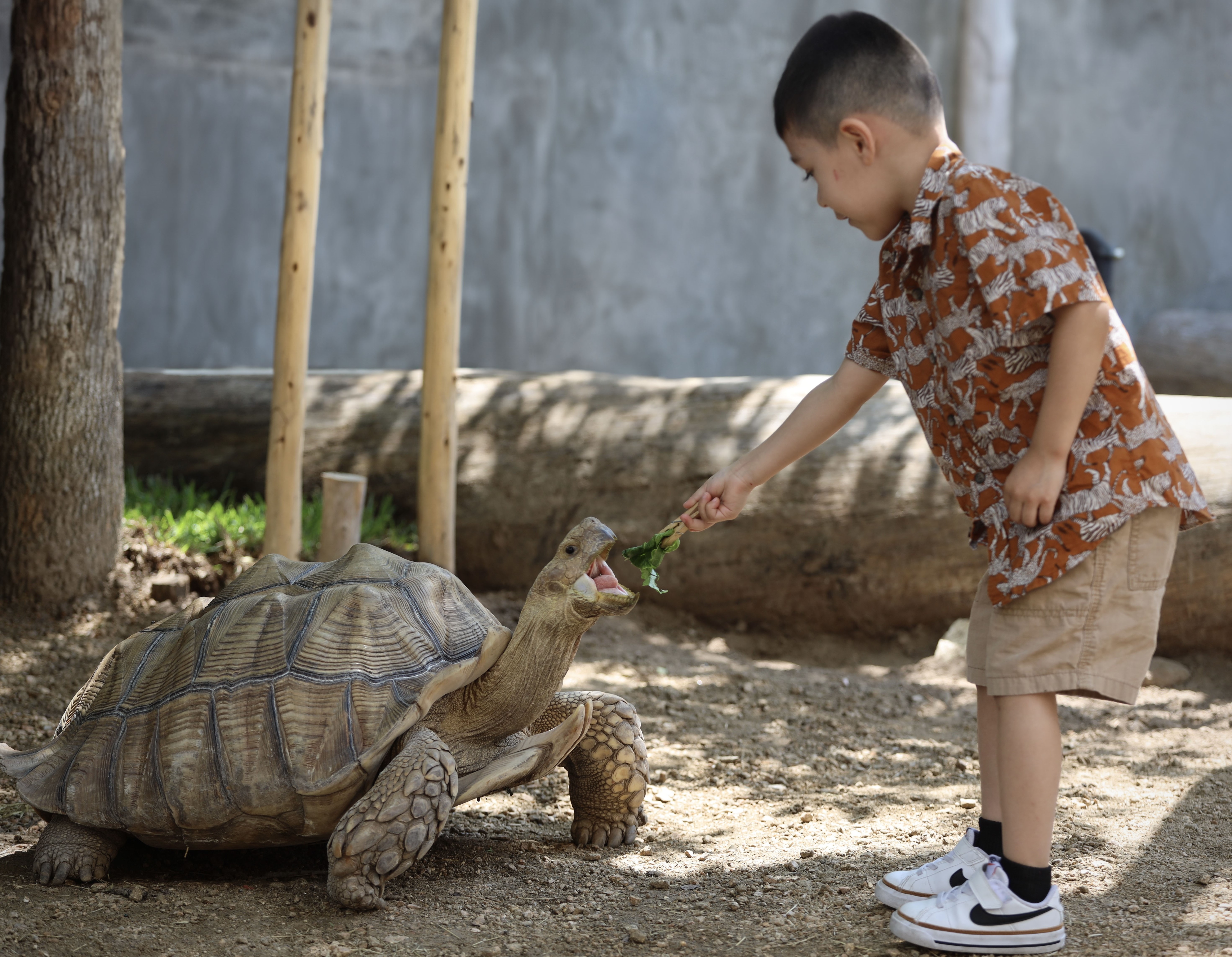 8 Fun Indoor and Outdoor Activities for Kids in San Antonio