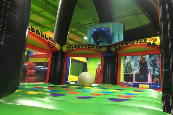 iguana_jump_3